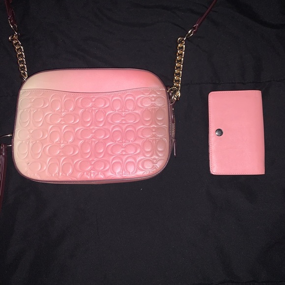 coach ombre camera bag